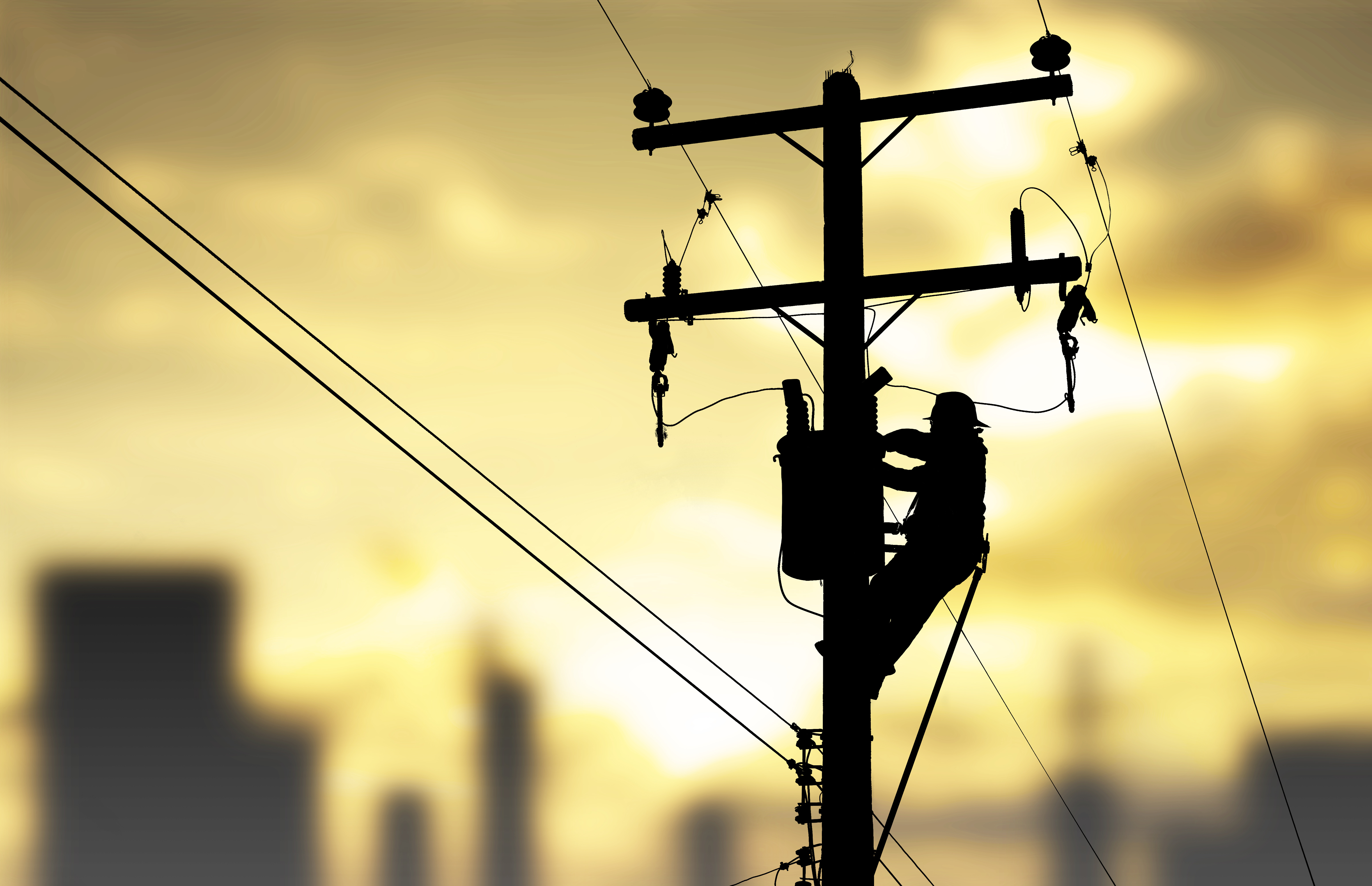 Discover the full range of our products for electricity transmission & distribution